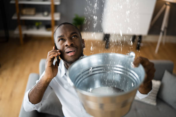 Best Flood restoration services  in Nocatee, FL