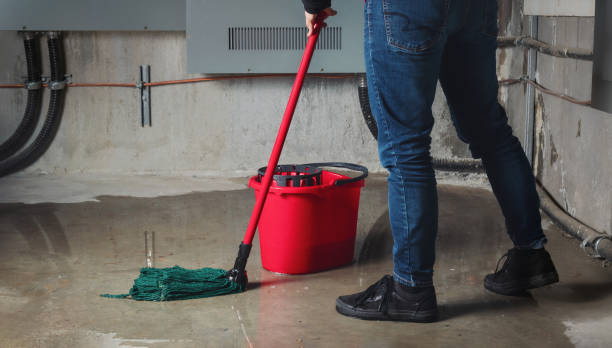 Best Emergency water damage restoration  in Nocatee, FL