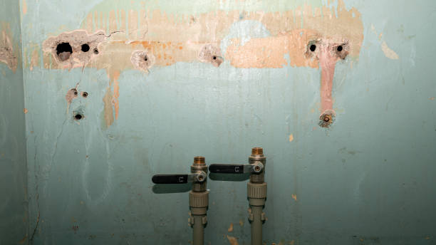 Best Fire Damage Restoration  in Nocatee, FL