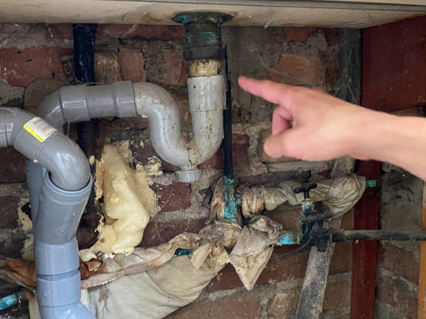 Best Sewage cleanup and water damage restoration  in Nocatee, FL